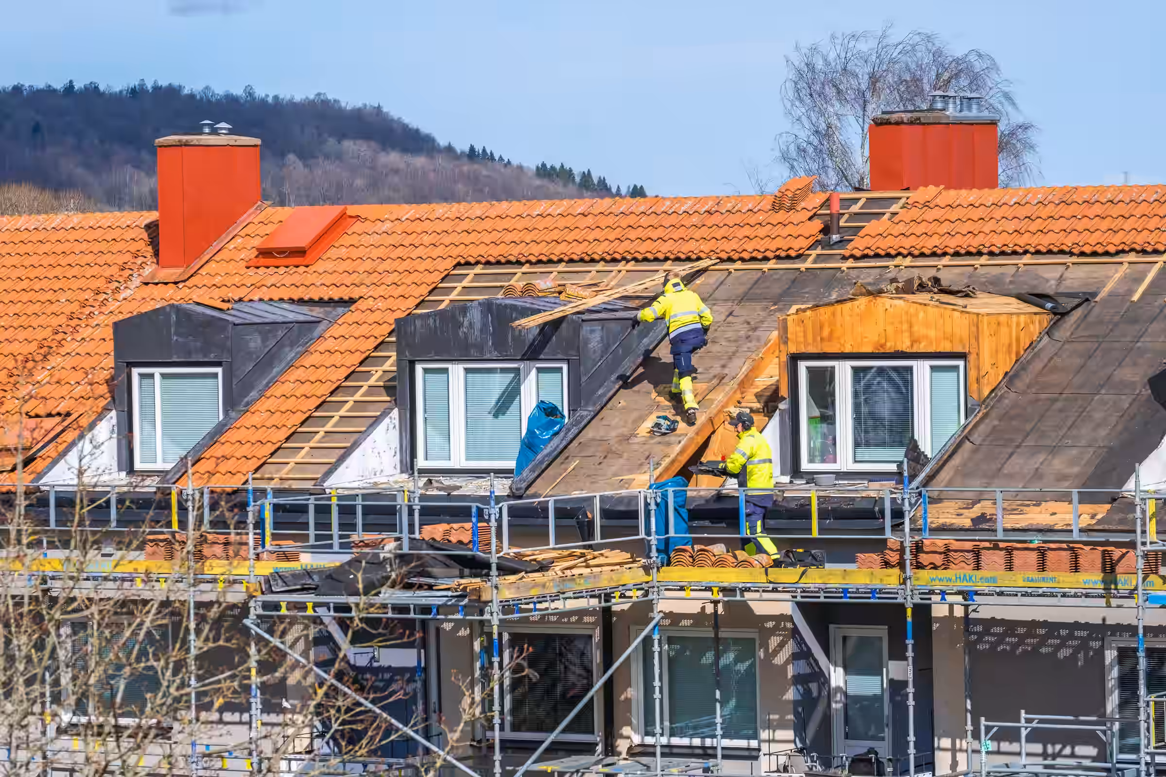 Especialistas de la madera - Construction Construccion Peugeot Outils Professionnels