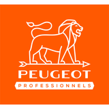 Mesa de alimentación de 2 metros -PRAS2M  - PEUGEOT OUTILS PROFESSIONNELS - maquinas estacionarias para metal - Referencia: PPM00500002 - Vue 3 - Herramienta profesional